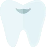 Tooth SVG Icon